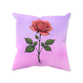 ThrowPillow_Sewn_14x14-20260623053018909